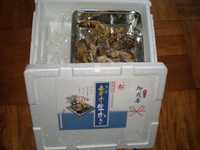 金華山の殻付き生牡蠣!
