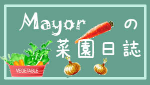 Mayor̍؉