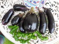 i0