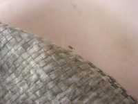 i2