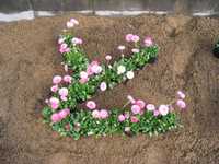 i1