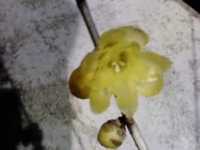 i2