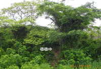 i1
