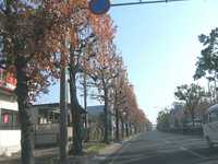 i0