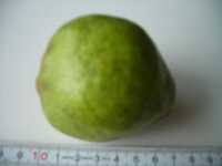 i1