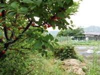i1
