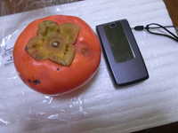 i1