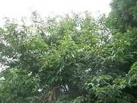 i1