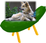 i0