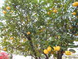 i1