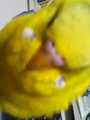 i0