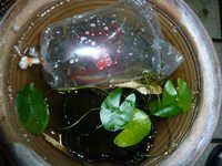 i1