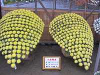 i1