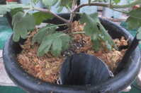 i2