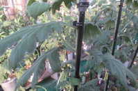 i2
