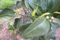 i0