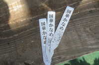 i1