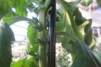 i2