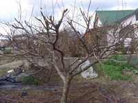 i1