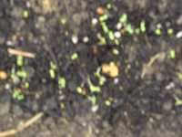 i0