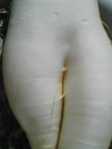 i1