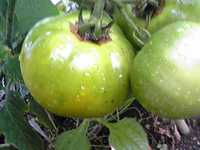 i1
