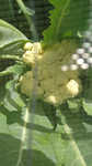 i2