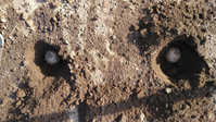 i2