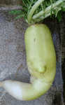 i0