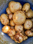 i0