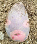i0
