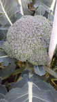 i2