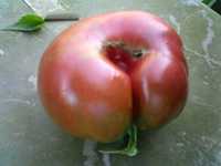 i0