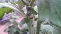 i2