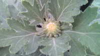 i2