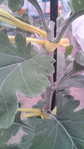 i1