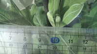 i2