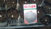 i2