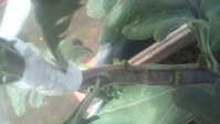 i1