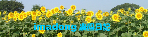 imadong̉ƒ؉ƃ