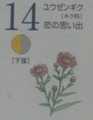 i0