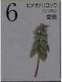i0