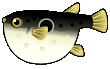 i2