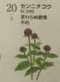i0
