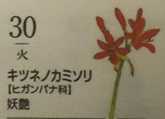 i0