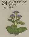i0