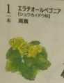 i0