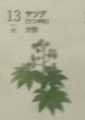 i0