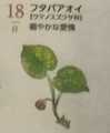 i0