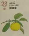 i0